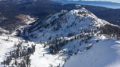 Westall Real Estate Team photo