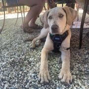 The Getaway Cafe photo