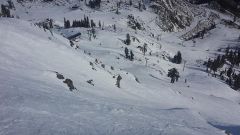 Westall Real Estate Team photo