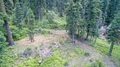 Westall Real Estate Team photo