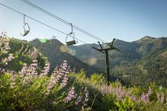 The Village at Palisades Tahoe photo