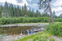 Westall Real Estate Team photo