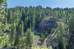 Westall Real Estate Team photo