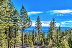 Team Blair Tahoe photo