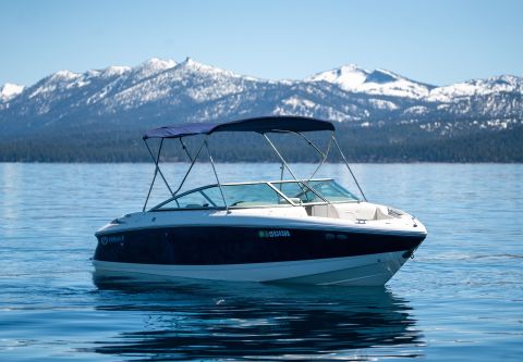 Sunnyside Marina & Watersports, 22' Cobalt Boat Rental