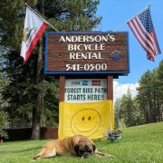 Anderson's Bicycle Rental photo