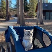 Anderson's Bicycle Rental photo