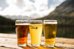 Lake Tahoe AleWorX photo