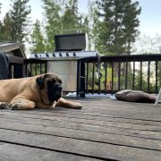 Tahoe Moon Properties photo