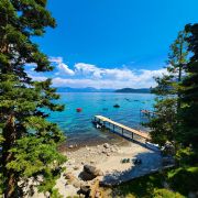 Westall Real Estate Team photo