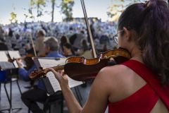 Classical Tahoe photo