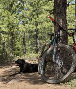 Tahoe Moon Properties photo