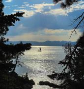 Action Water Sports photo