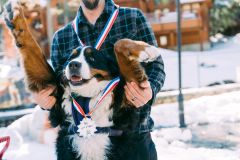 North Lake Tahoe SNOWFEST photo