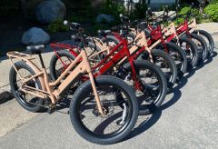 Truckee River Bikes photo