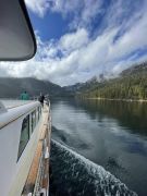 Bleu Wave Cruises photo