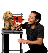 Alex Ramon Magic photo