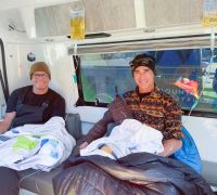 Elivate IV FUEL photo