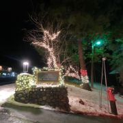 Northern Lights Festival photo