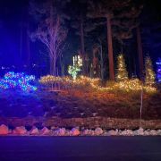 Northern Lights Festival photo