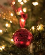 Northern Lights Festival photo