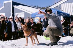 North Lake Tahoe SNOWFEST photo