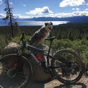 Tahoe XC photo