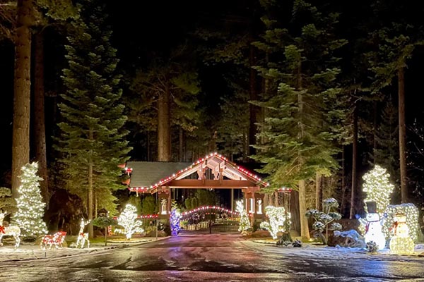 Northern Lights Festival