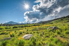 Talbot Fine Art Gallery photo