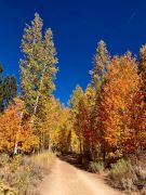 Flume Trail Mountain Bikes photo