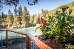 River Ranch Lodge & Restaurant photo