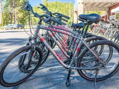 Truckee River Bikes photo