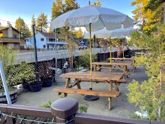 Orchid's Thai Cuisine photo