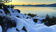 Masters of Tahoe Incline Real Estate photo