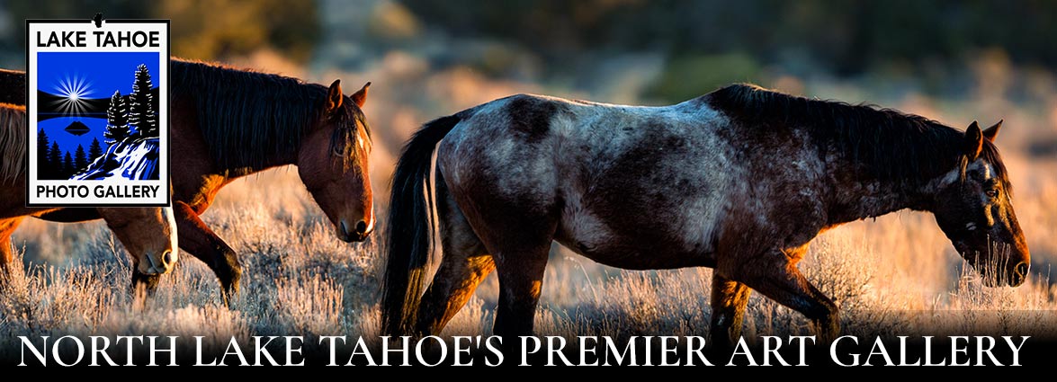 Lake Tahoe Photo Gallery