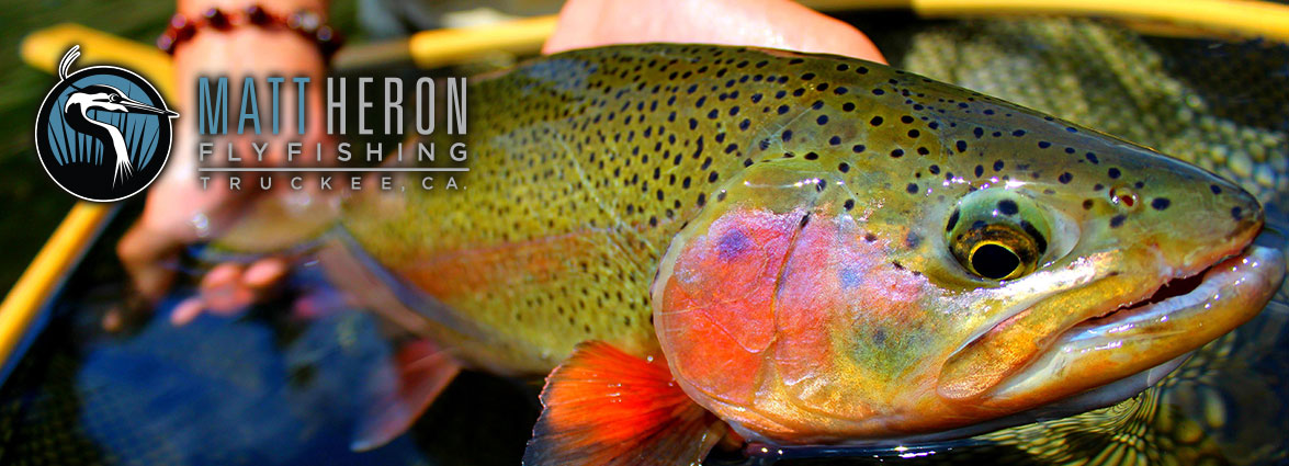 Matt Heron Fly Fishing