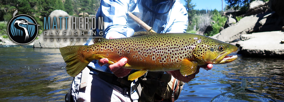 Matt Heron Fly Fishing