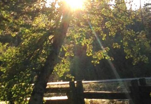 Sierra State Parks Foundation, Tahoe State Recreation Area