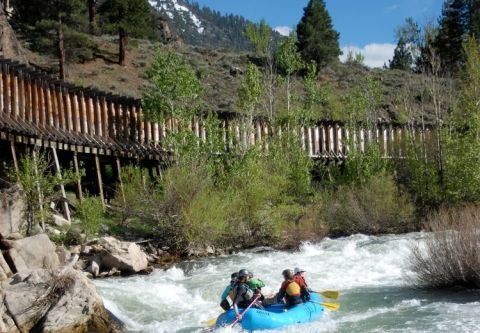 IRIE Rafting, Full Day Raft Trip Truckee River
