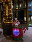 Northern Lights Festival photo