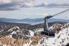 WinterWonderGrass Festival photo