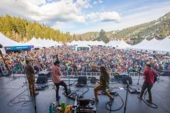 WinterWonderGrass Festival photo