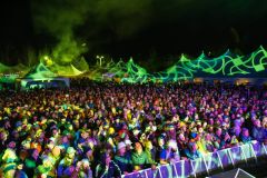 WinterWonderGrass Festival photo