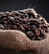 Bare Roots Artisan Coffee Roasting Co. photo